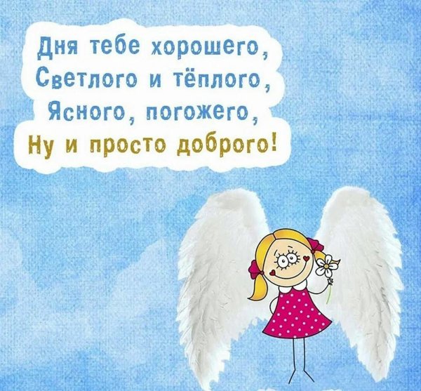 хорошего светлого дня