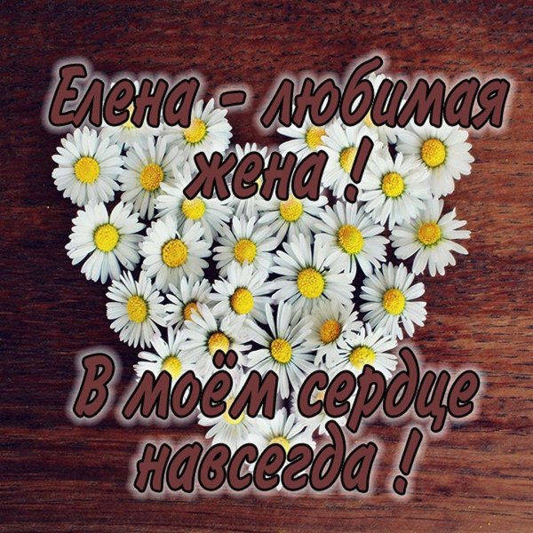 любимая моя жена