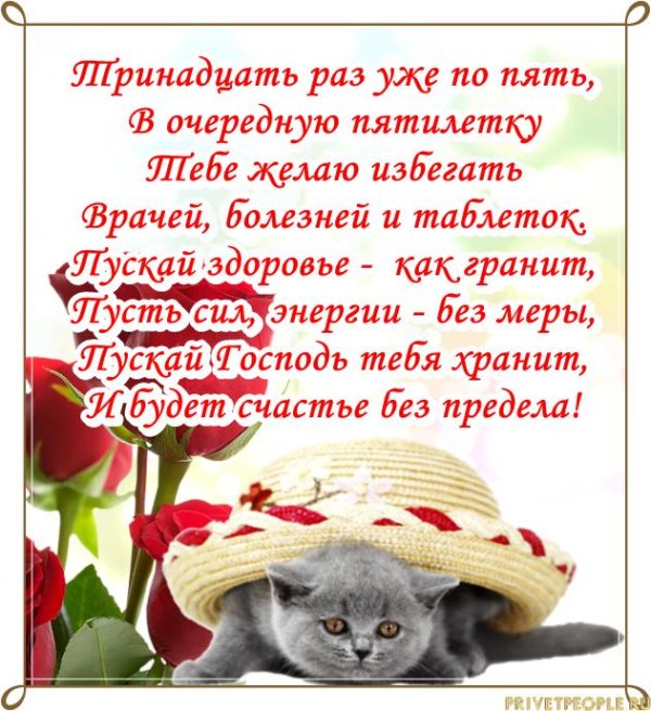 кошка в шляпке