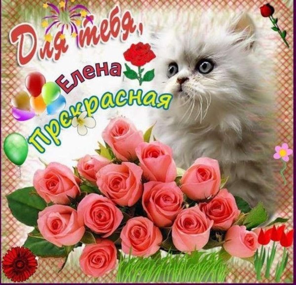 красивый букет для леночки