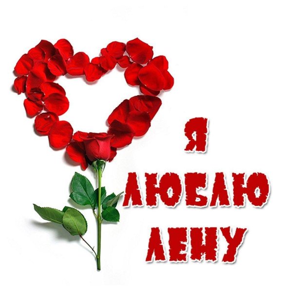 люблю леночку