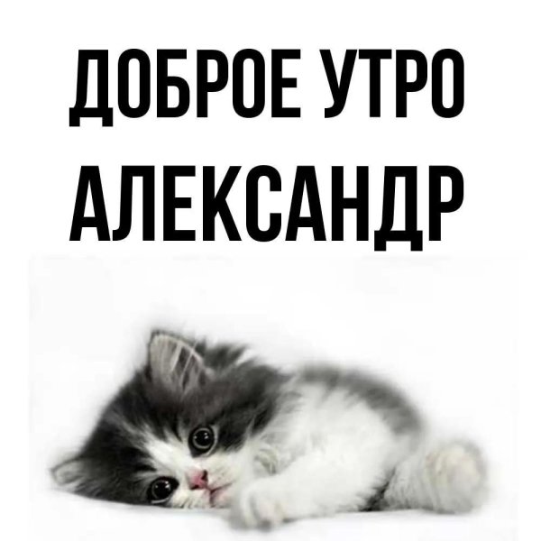 доброе утро александр