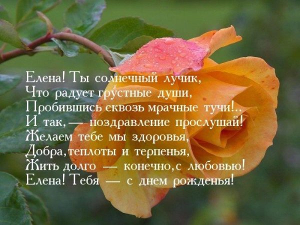 елена с день рождения