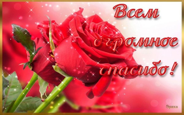 открытка спасибо