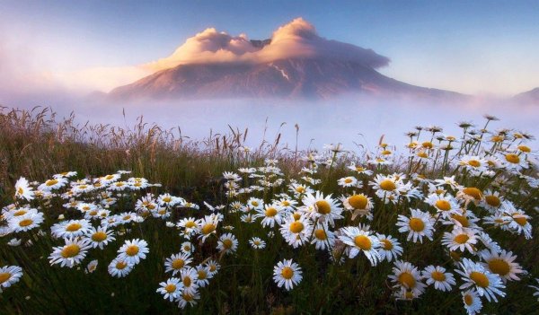 красота природа