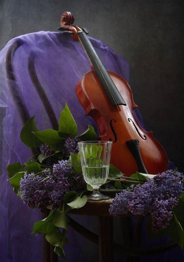 сирень натюрморт