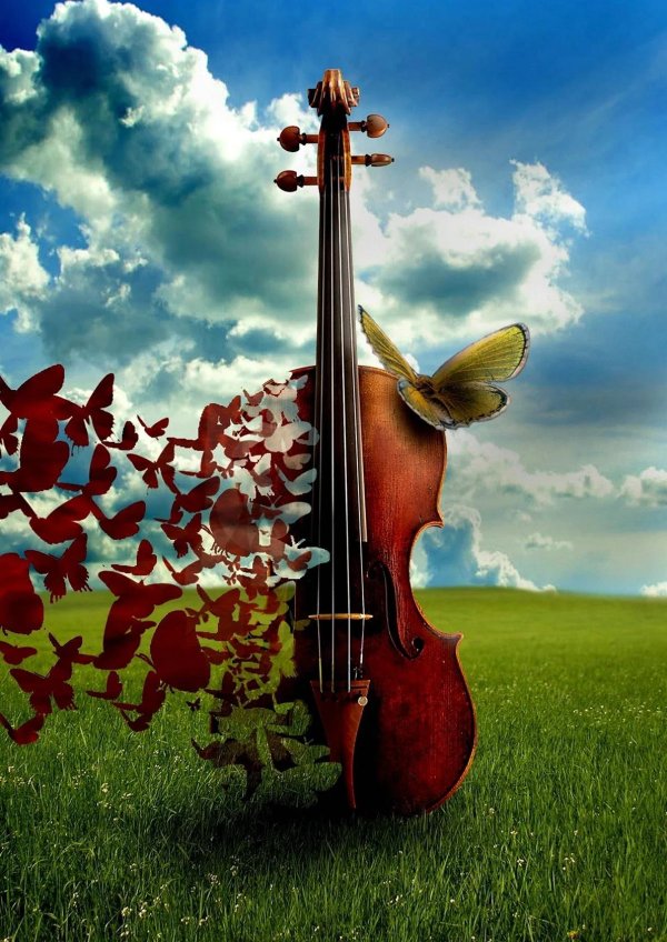 фон скрипка