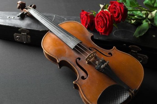 скрипка на черном фоне