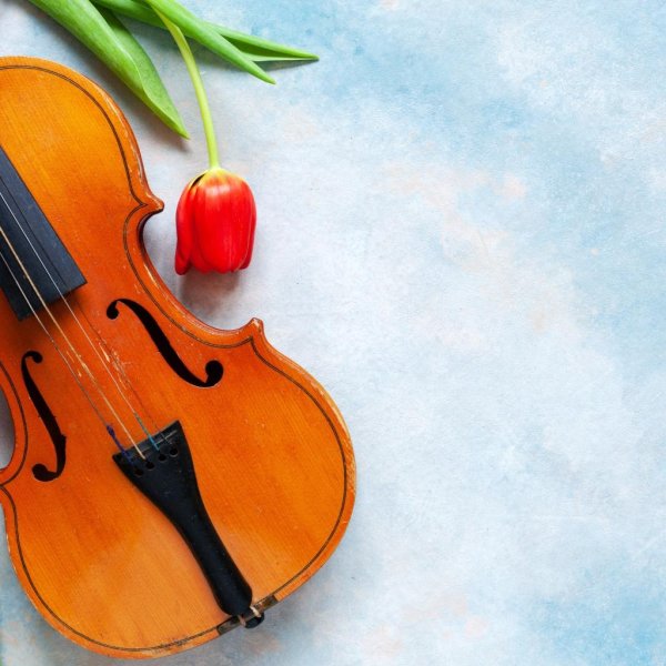 скрипка вивальди