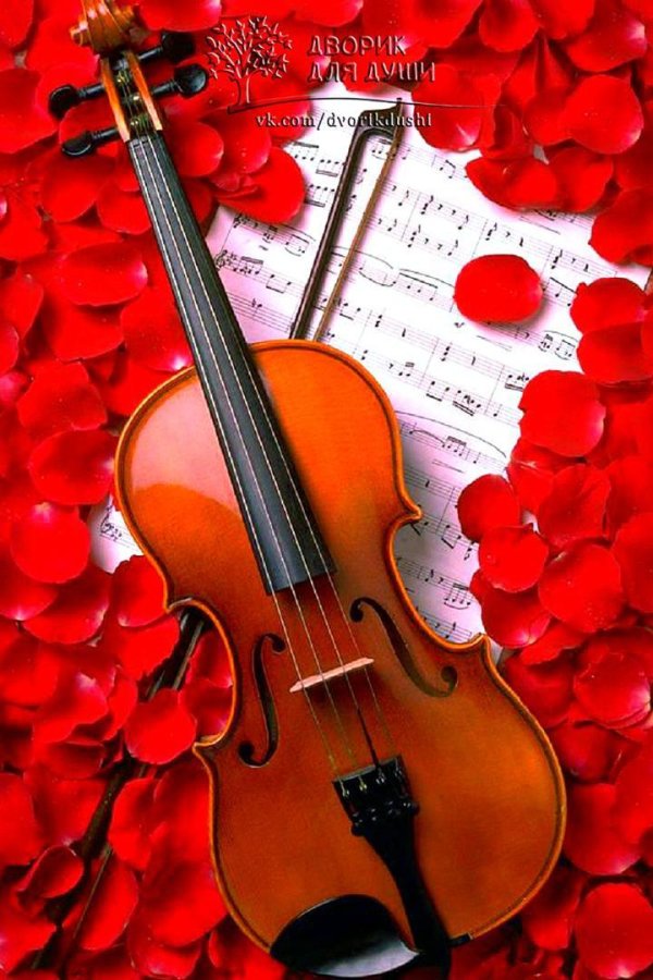 скрипка романтика