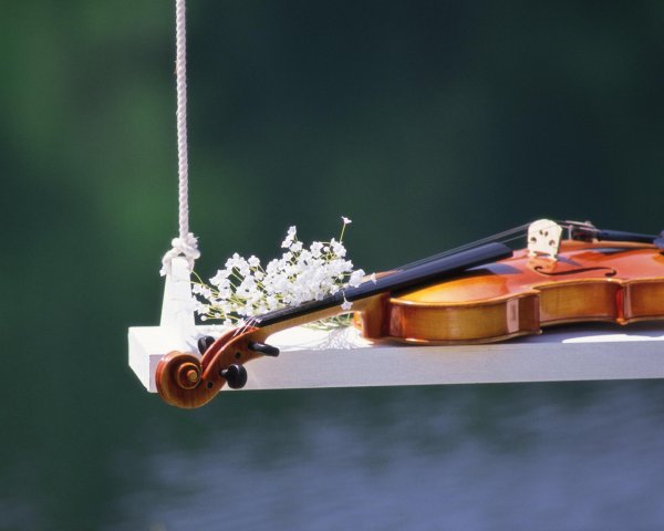 скрипка музыкальный инструмент