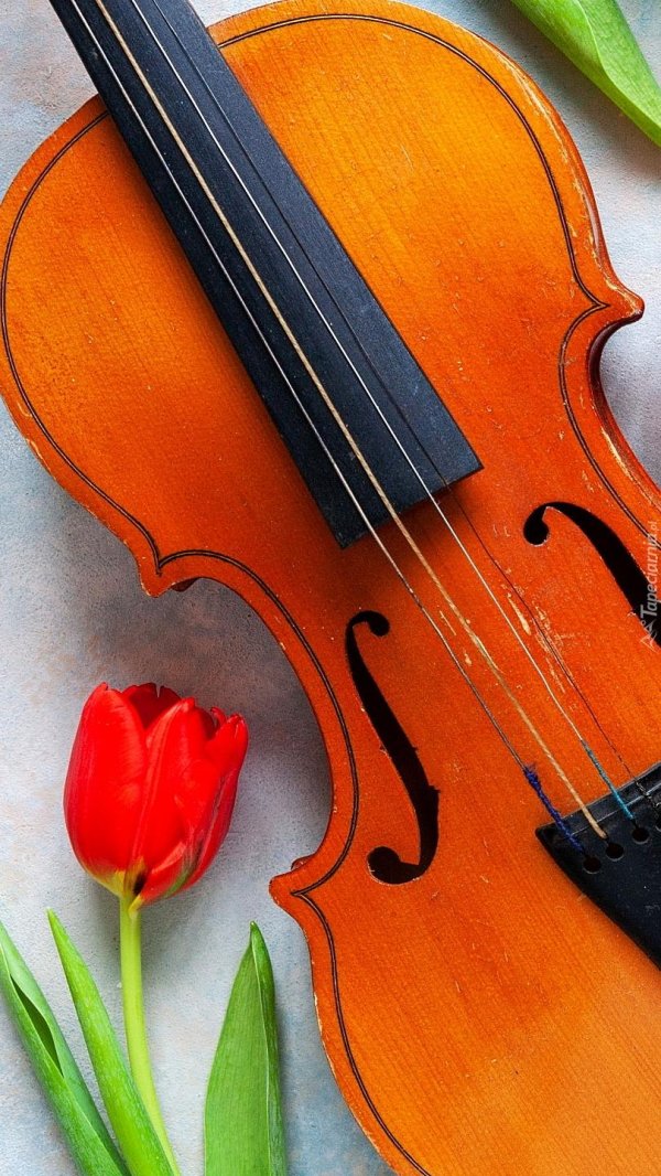 фон скрипка