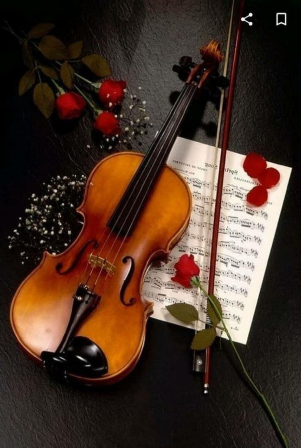 доброе утро скрипка