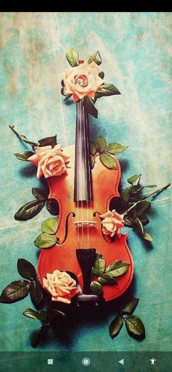 музыкальные инструменты и цветы