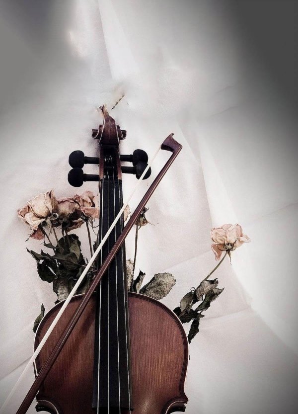 скрипка эстетика