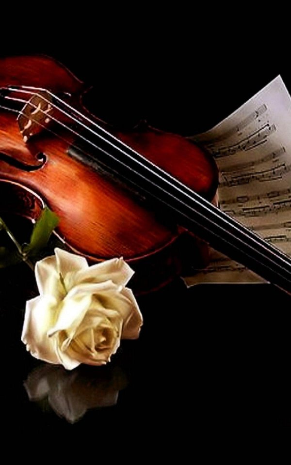 натюрморт со скрипкой