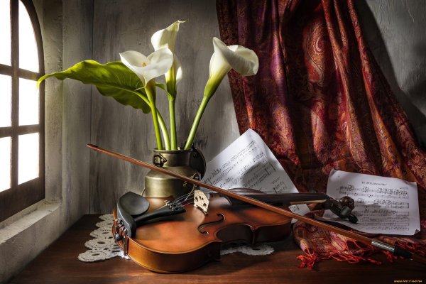 натюрморт с музыкальными инструментами