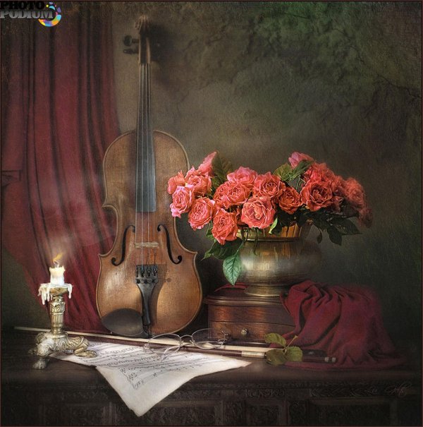 луиза гельтс фотонатюрморты