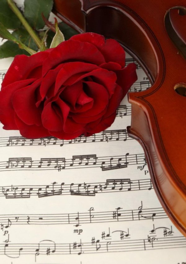 ноты с розой
