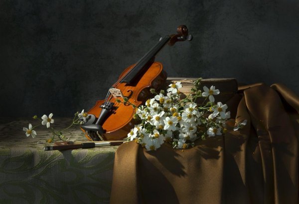 натюрморт с музыкальными инструментами