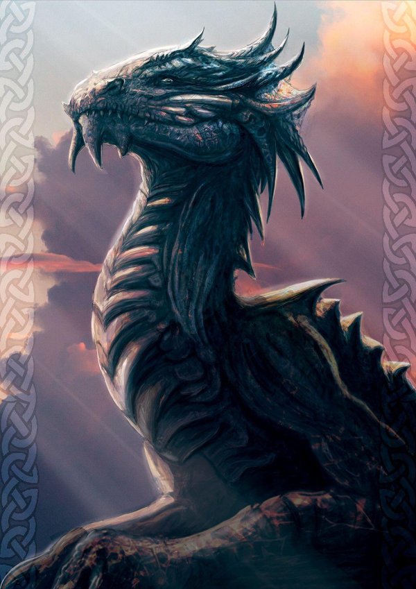 красивые драконы