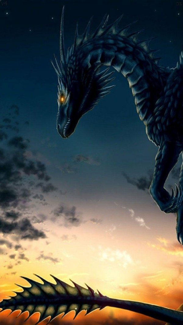 драконы в хорошем качестве