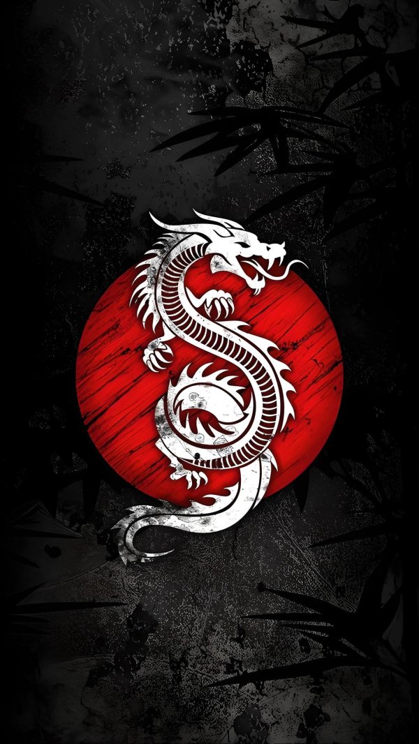 красивые драконы