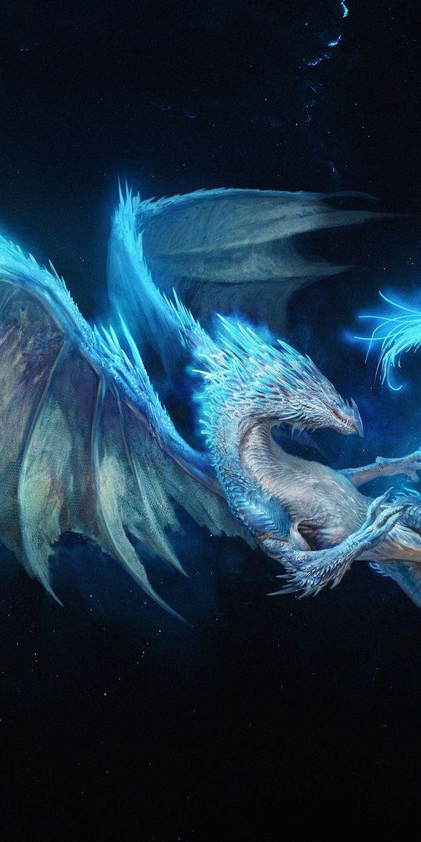 синие драконы