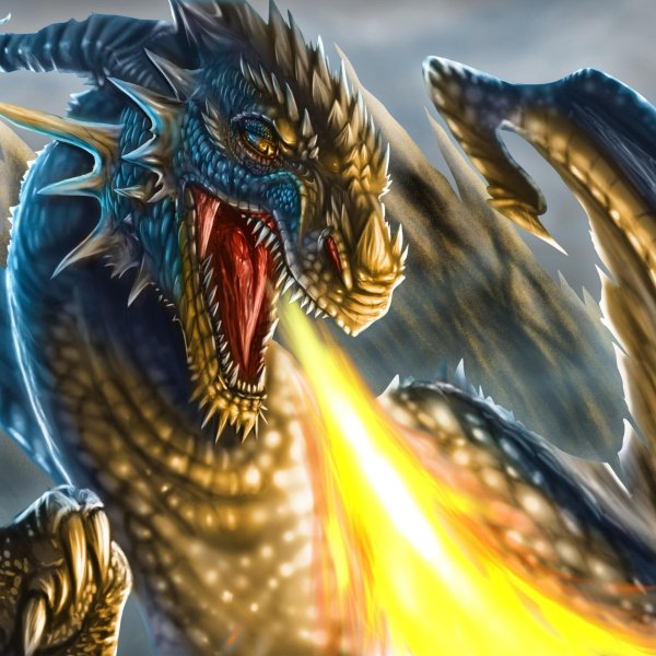 красивые драконы