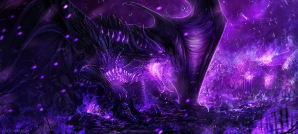 фиолетовые драконы