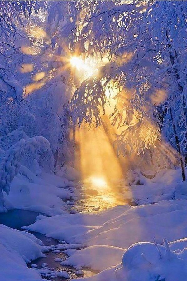 природа зимняя