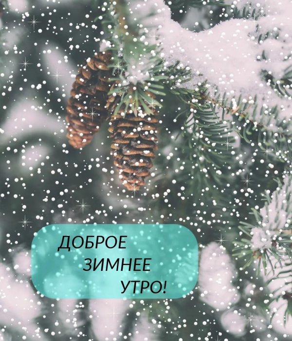 зимнего утра