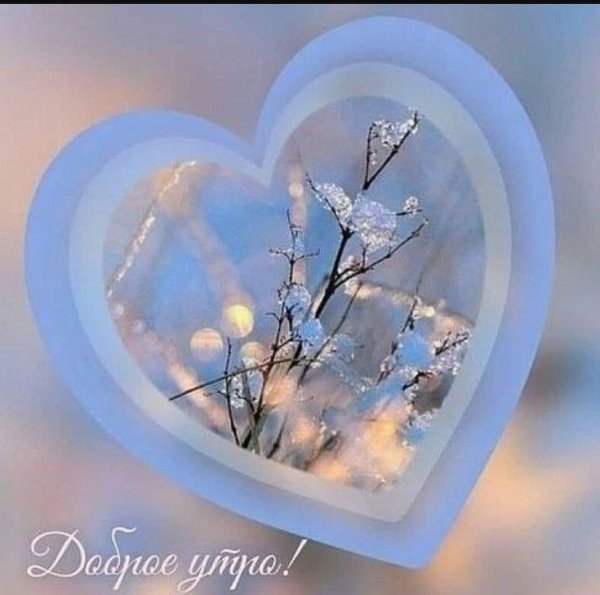 нежного зимнего утра