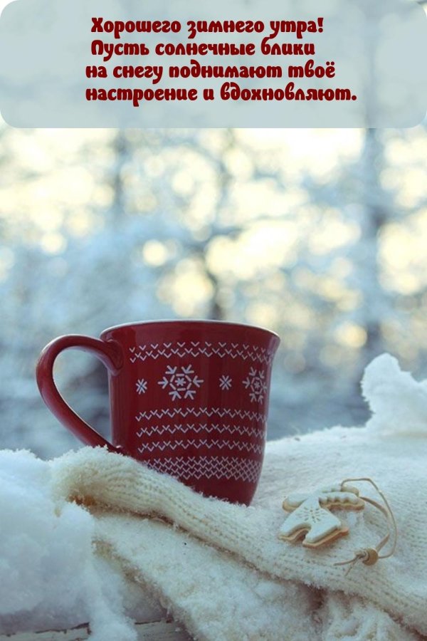 снежного утра