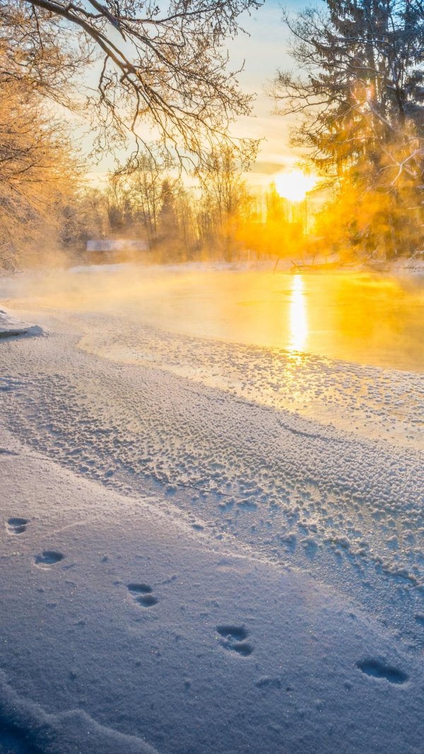 зимний рассвет