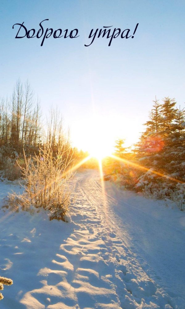 морозное солнечное утро