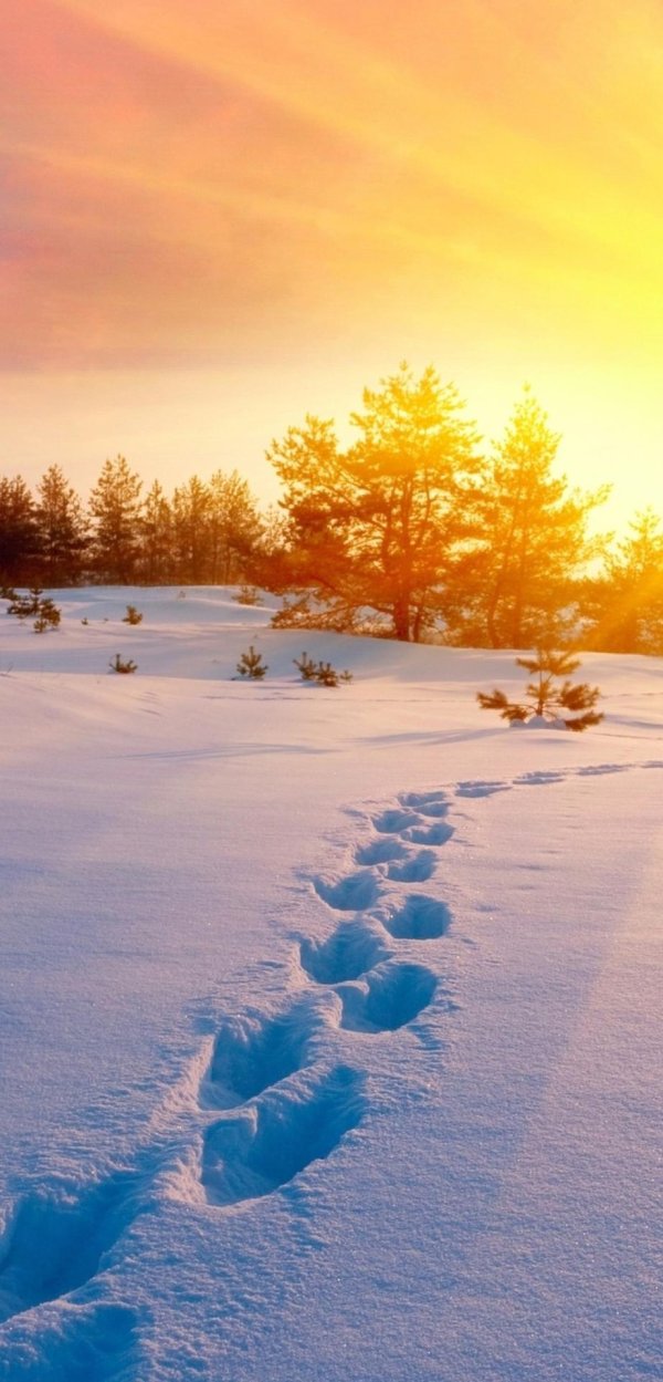 след на снегу