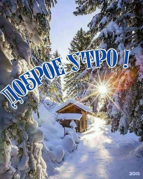 зимнего утра