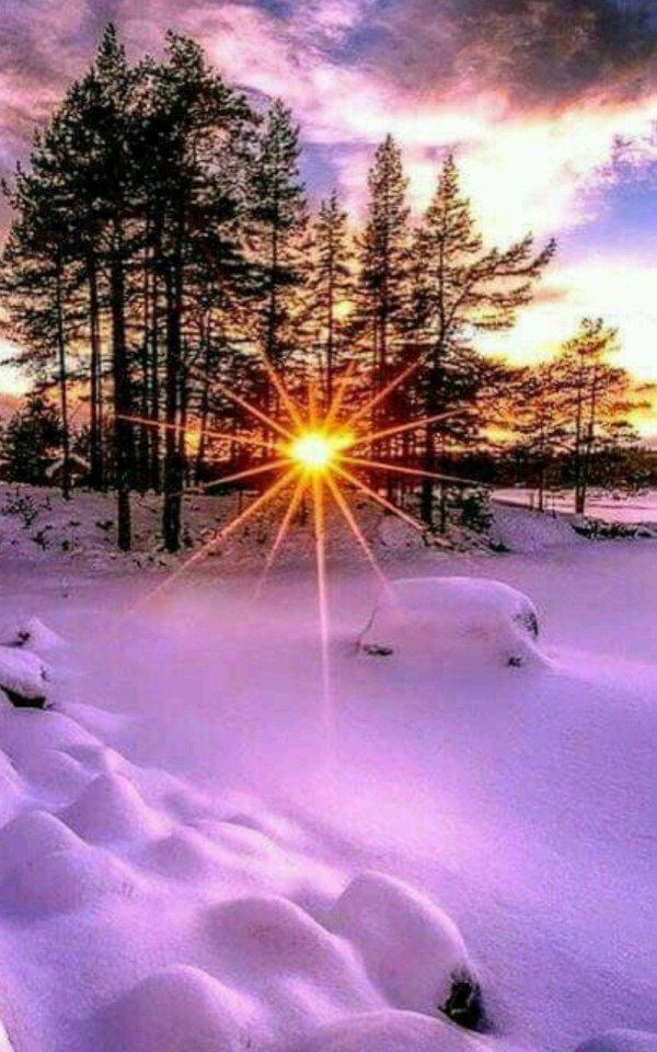 природа зимняя