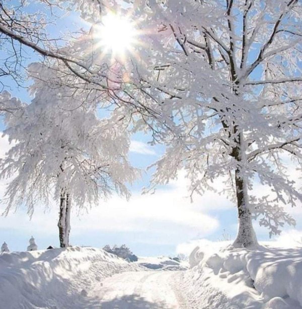 природа зимняя