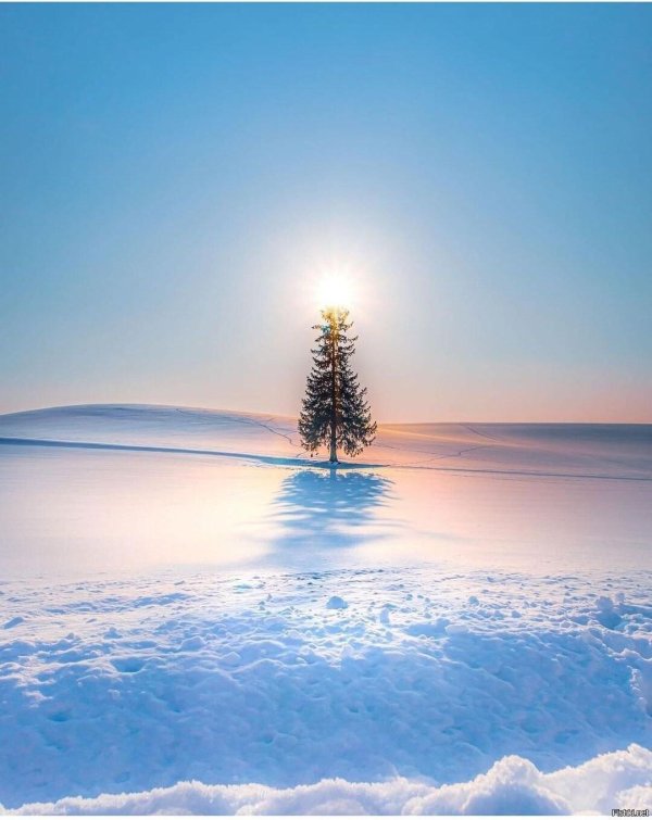 зимние пейзаж