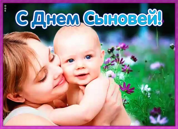 22 ноября день сына