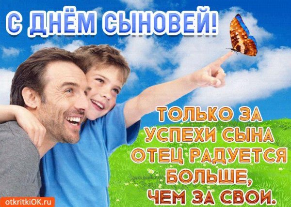 день сына