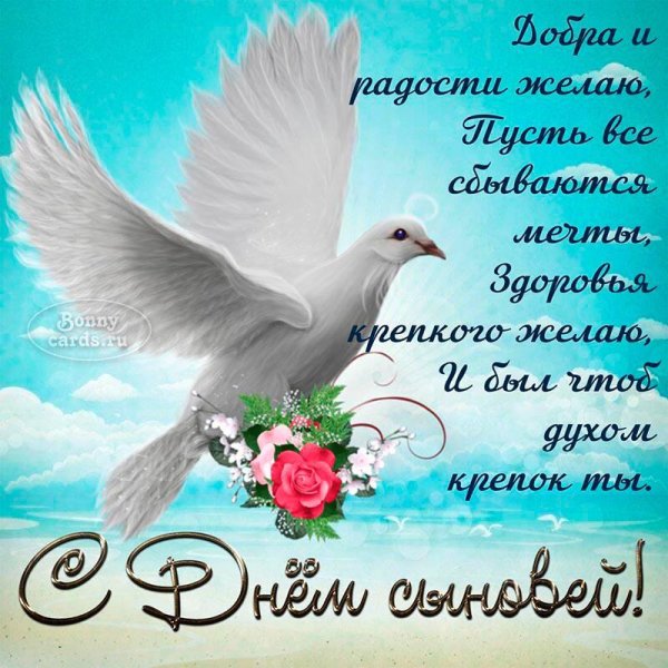 голуби мира