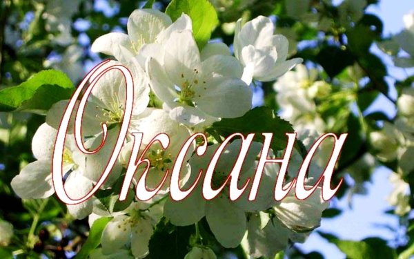 цветы для оксаны