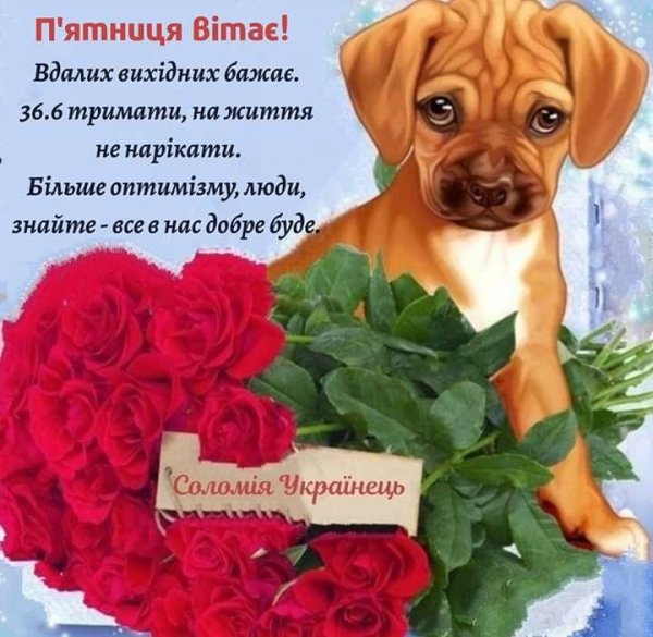 поздравительная открытка