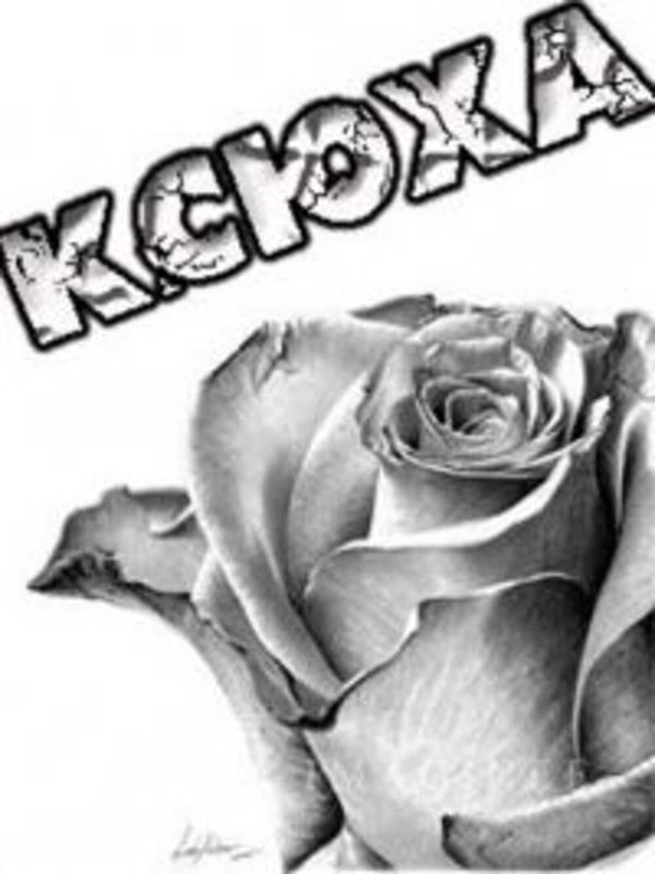 роза рисунки