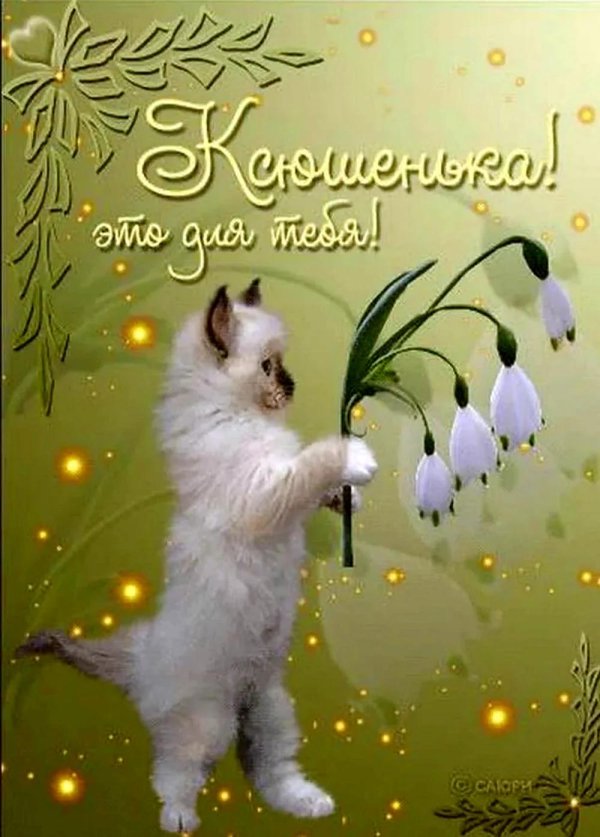 с днем рождения ксении