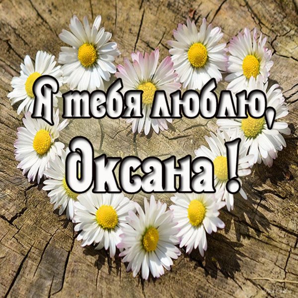 открытка ромашки для наташки