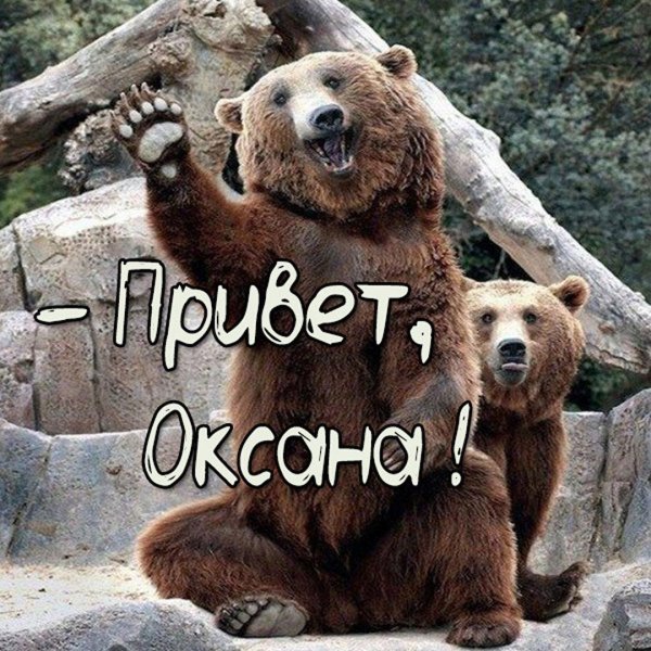 медведь машет лапой